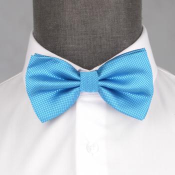 Бабочка мужская 0189