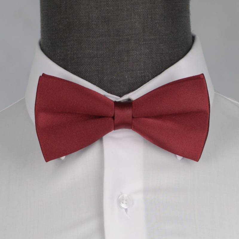 Бабочка мужская 0153