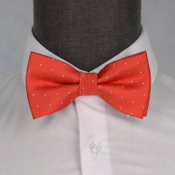 Бабочка мужская 0090