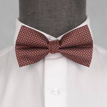 Бабочка мужская 0172