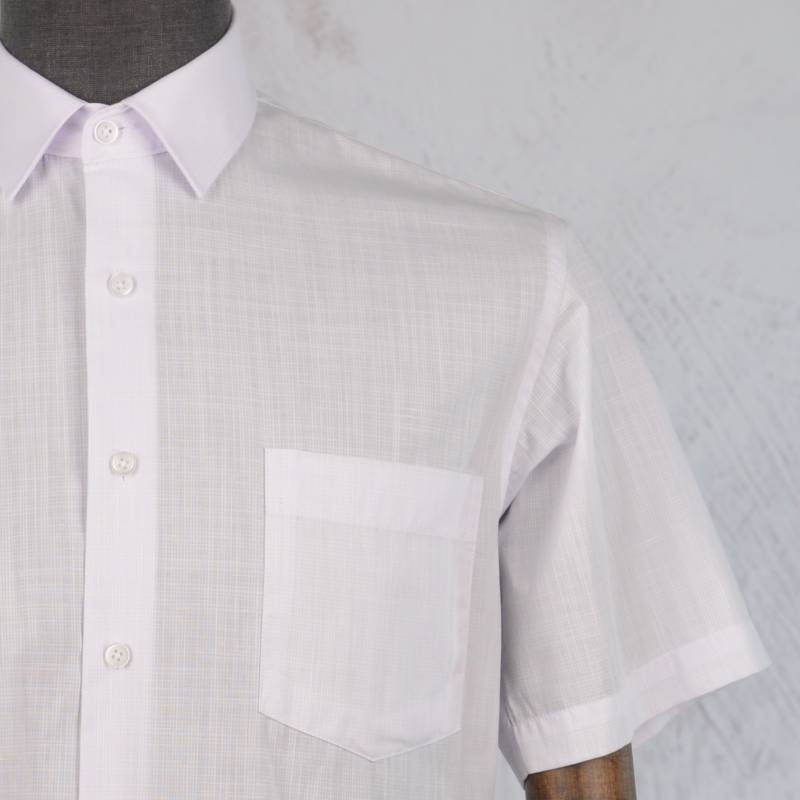 Рубашка мужская Genus Glad 006TGG к/р