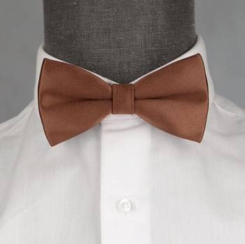 Бабочка мужская 0229