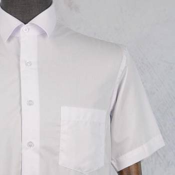 Рубашка мужская Grossir 1051G к/р